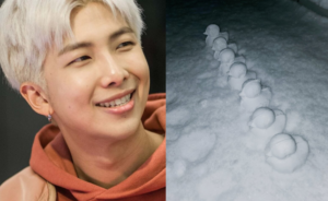 RM de BTS y sus patitos, nueva banda: DTS