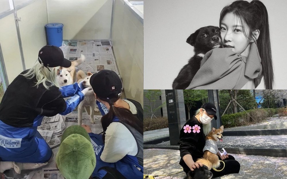 Jeongyeon de TWICE y su hermana/actriz Gong Seung Yeon voluntarias en un refugio de animales