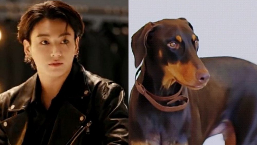 Jungkook de BTS con su amado perro mascota 'Jeon Bam'