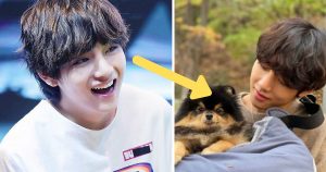V de BTS cosas que lo hacen absolutamente feliz