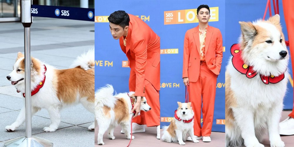 Los internautas están muy impresionados con el perro de Sung Hoon